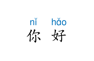 Pinyin text Pinyin text