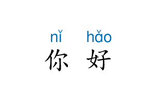 Pinyin text